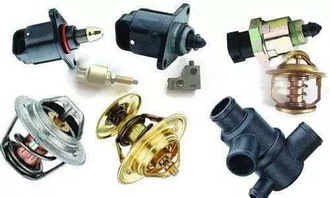 常德金旋風比亞迪